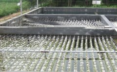 ���׏Uˮ̎�������O��