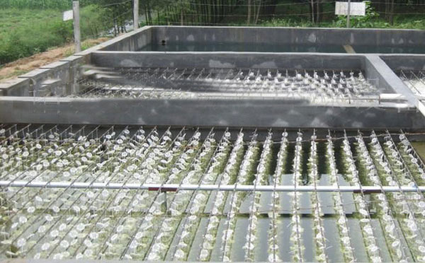 屠宰廢水處理成套設(shè)備產(chǎn)品優(yōu)勢(shì) 屠宰廢水處理成套設(shè)備產(chǎn)品優(yōu)勢(shì)